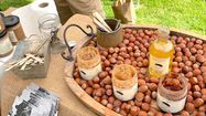 BON PLAN - 19 Fermes en fête en Bigorre et dans les Gers